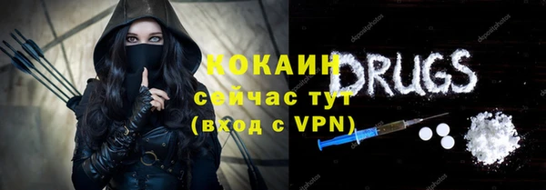 ECSTASY Алзамай