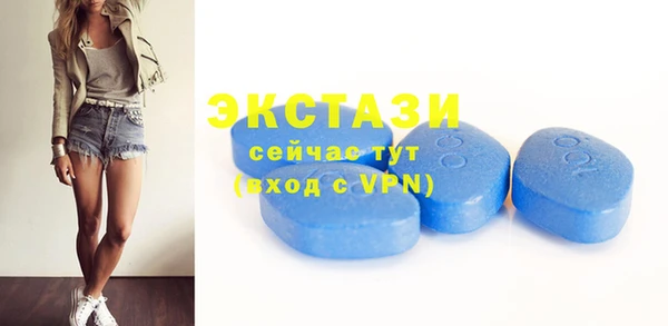 ECSTASY Алзамай