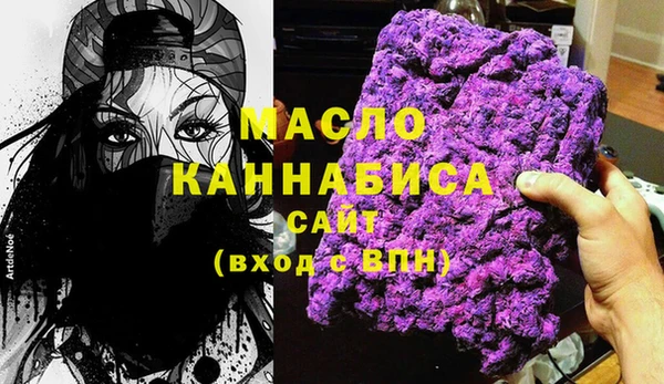 ECSTASY Алзамай