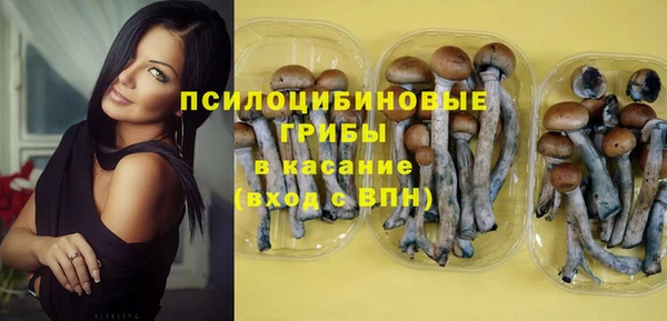 ECSTASY Алзамай