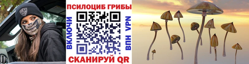 Псилоцибиновые грибы Cubensis  Белореченск 